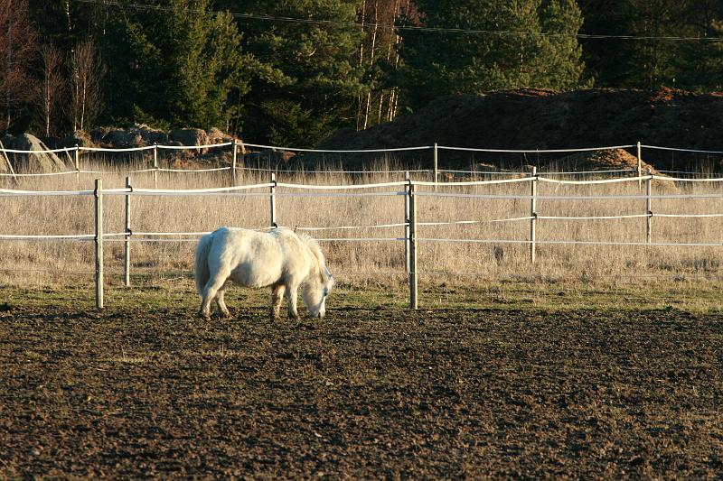 025.JPG - Hampus